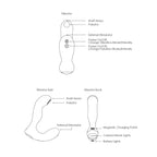 Svakom - Iker Neo App-Controlled Pulsating Prostate Vibrator